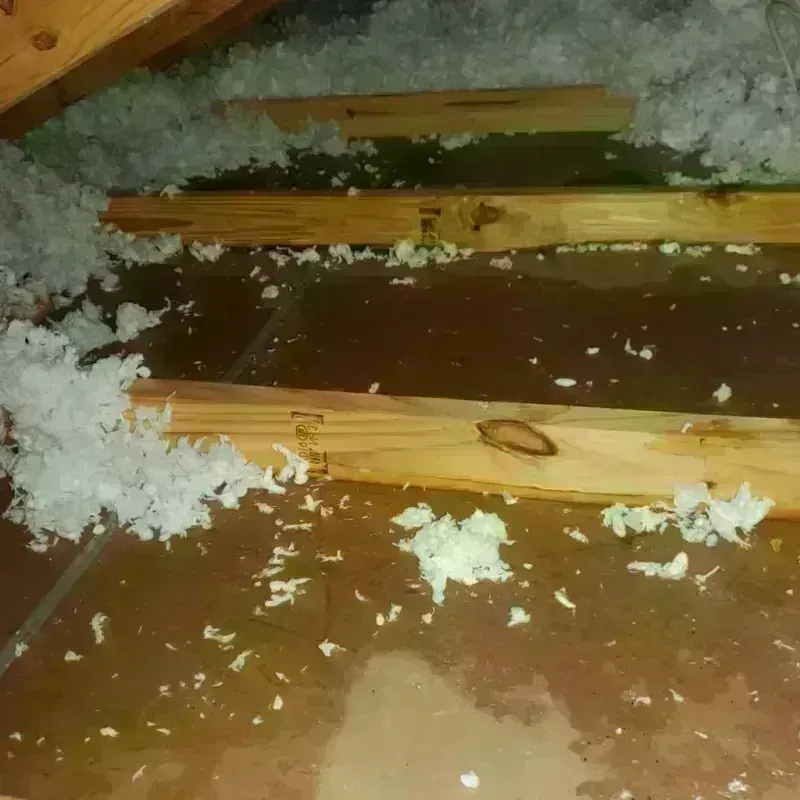 Attic Water Damage in Franklin, NJ