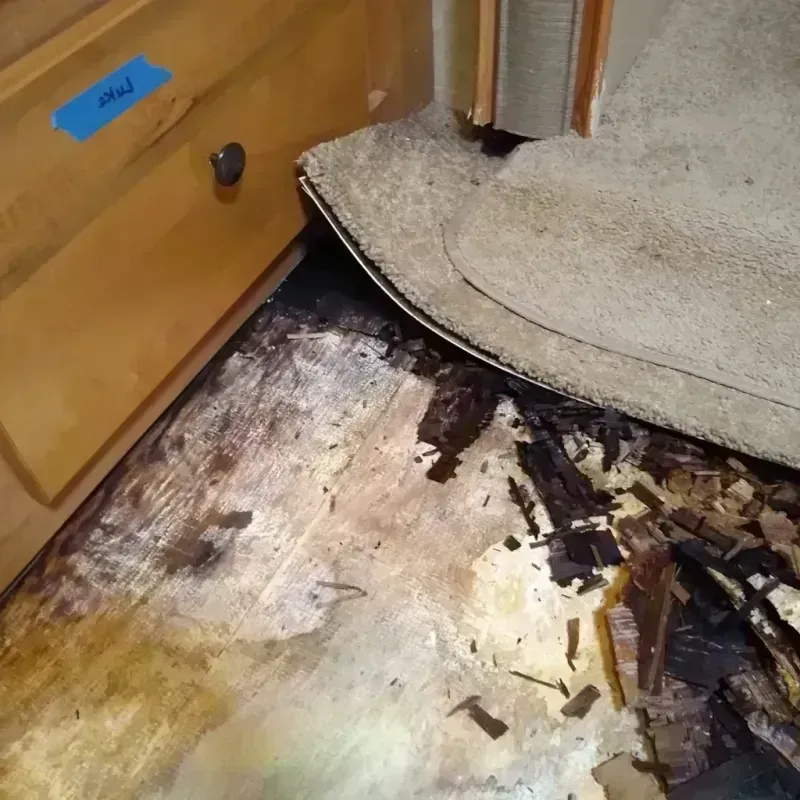 Wood Floor Water Damage in Franklin, NJ